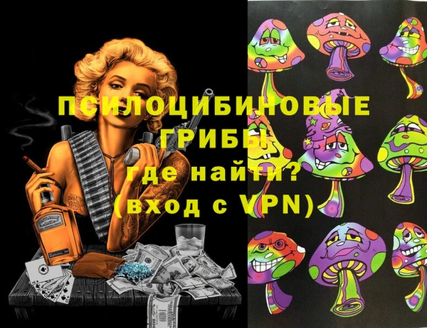мдма Каменка