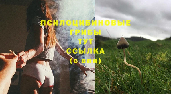 мдма Каменка