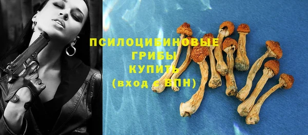 мдма Каменка
