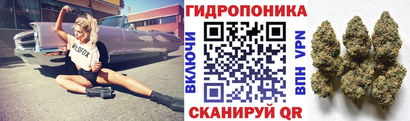 Бошки марихуана планчик  Купить где  Покров 